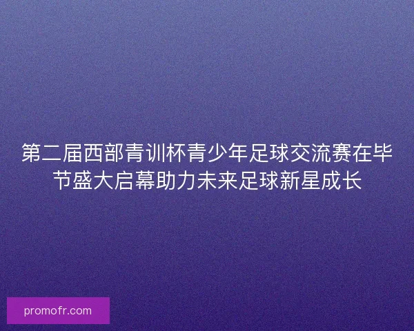 第二届西部青训杯青少年足球交流赛在毕节盛大启幕助力未来足球新星成长